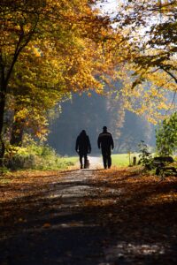 To personer går en tur på en sti i skoven
